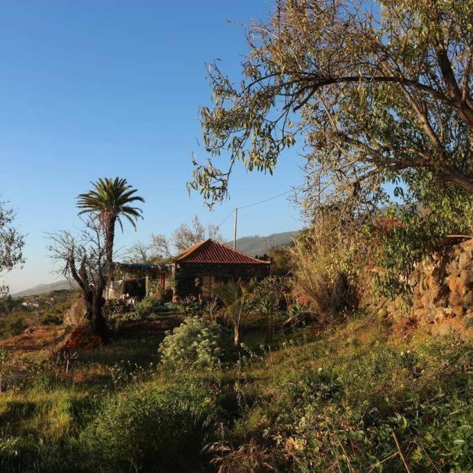 Casita En El Campo Con Vista Al Oceano Villa Tijarafe Eksteriør billede