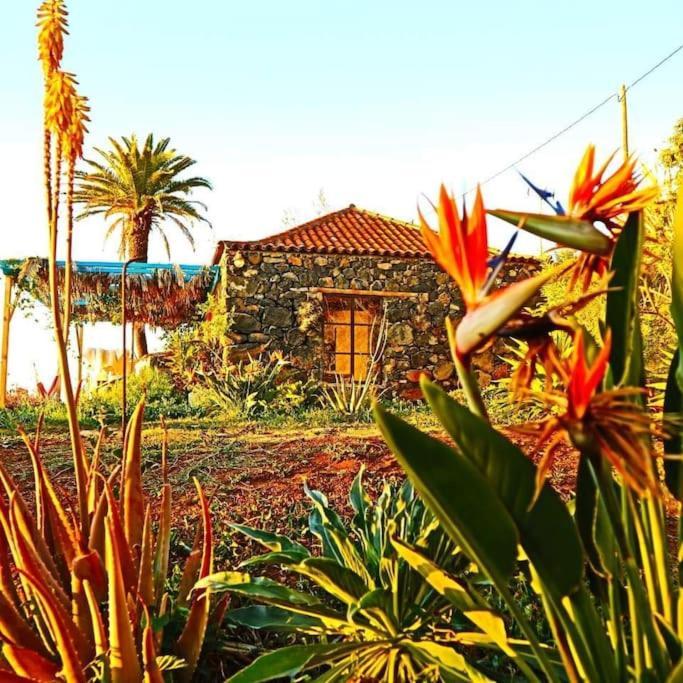 Casita En El Campo Con Vista Al Oceano Villa Tijarafe Eksteriør billede
