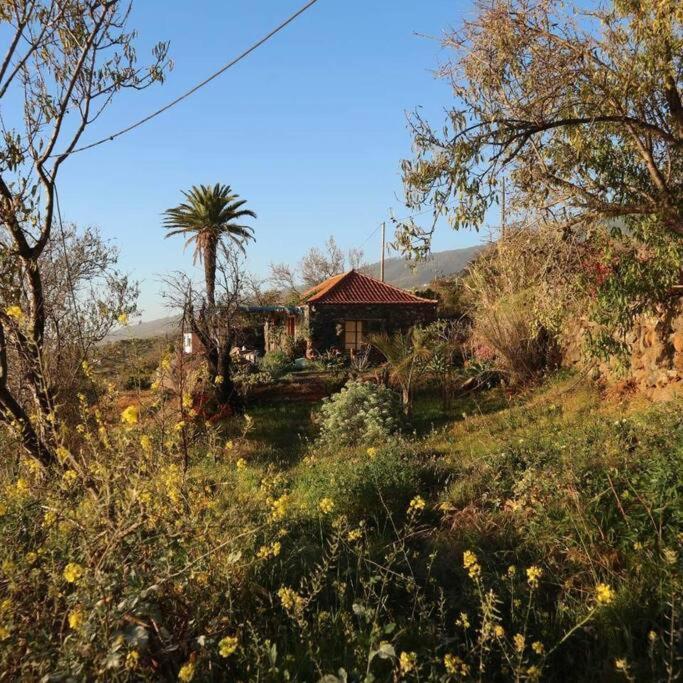 Casita En El Campo Con Vista Al Oceano Villa Tijarafe Eksteriør billede