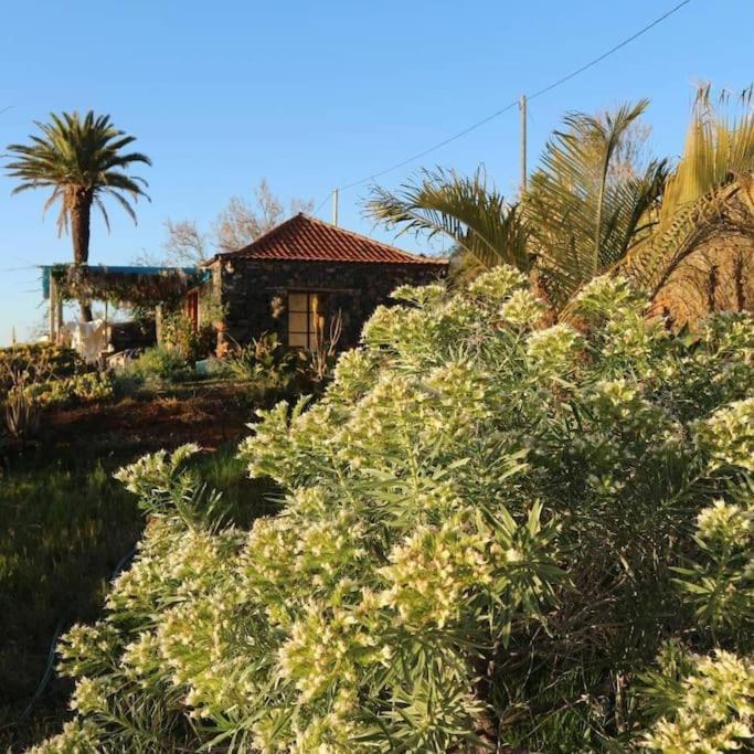 Casita En El Campo Con Vista Al Oceano Villa Tijarafe Eksteriør billede