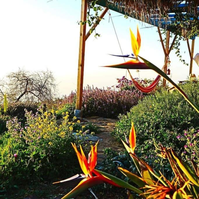 Casita En El Campo Con Vista Al Oceano Villa Tijarafe Eksteriør billede