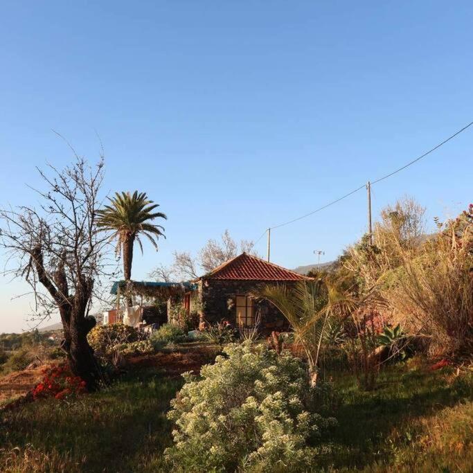 Casita En El Campo Con Vista Al Oceano Villa Tijarafe Eksteriør billede